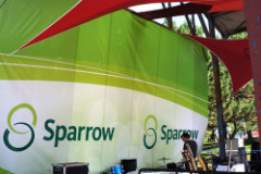 SparrowBanner-250x250-1