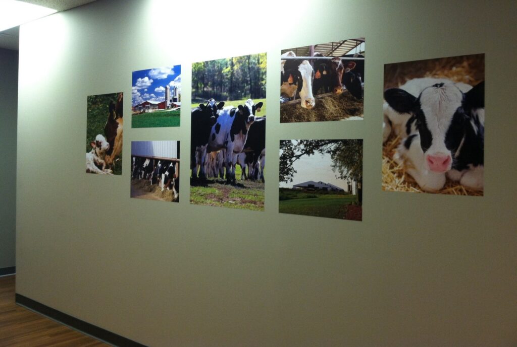 capital imaging, wall printing, print company